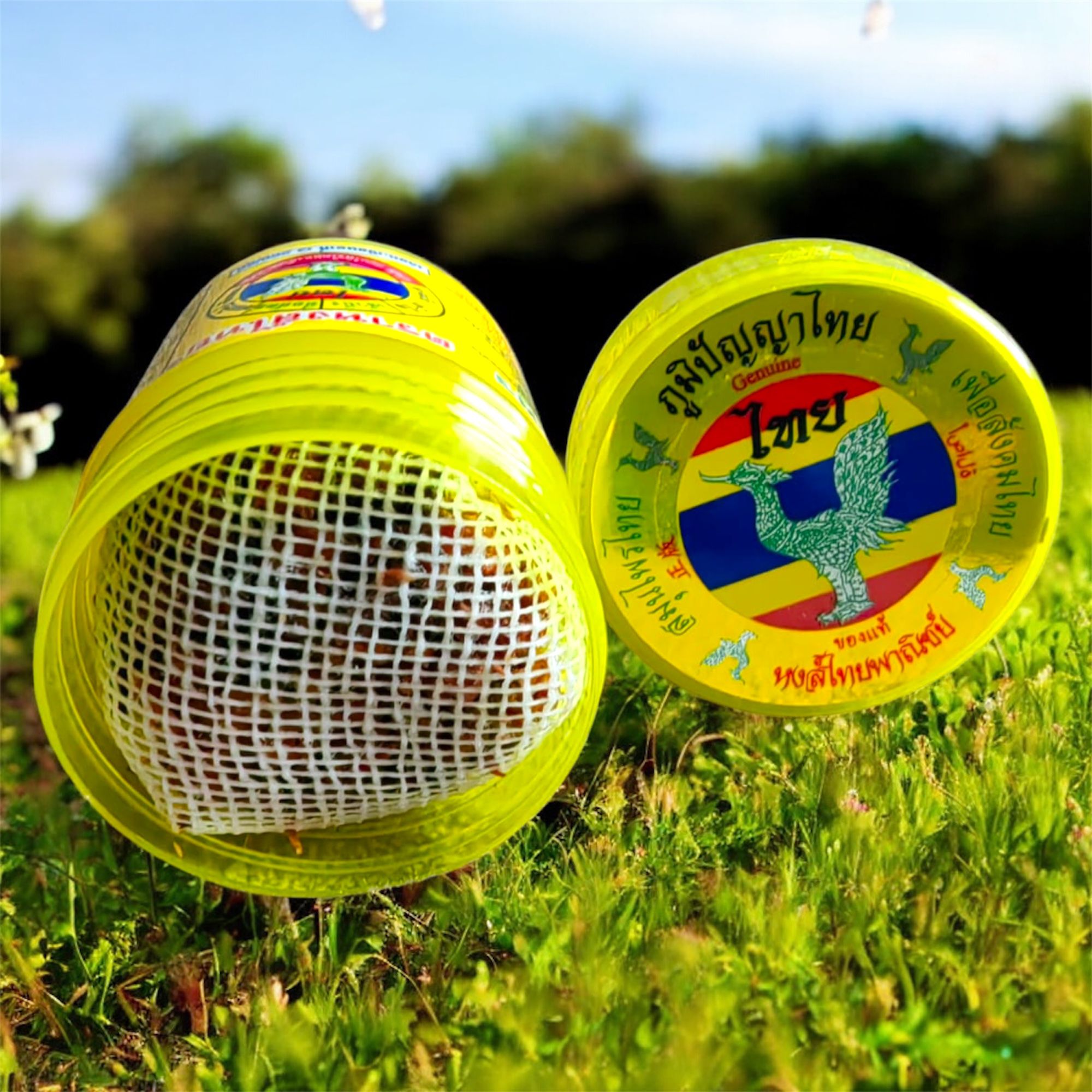 Hong Thai Duftdose Gelb – Kräuter & ätherische Öle | EU-konform – Bild 2